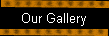 Our Gallery